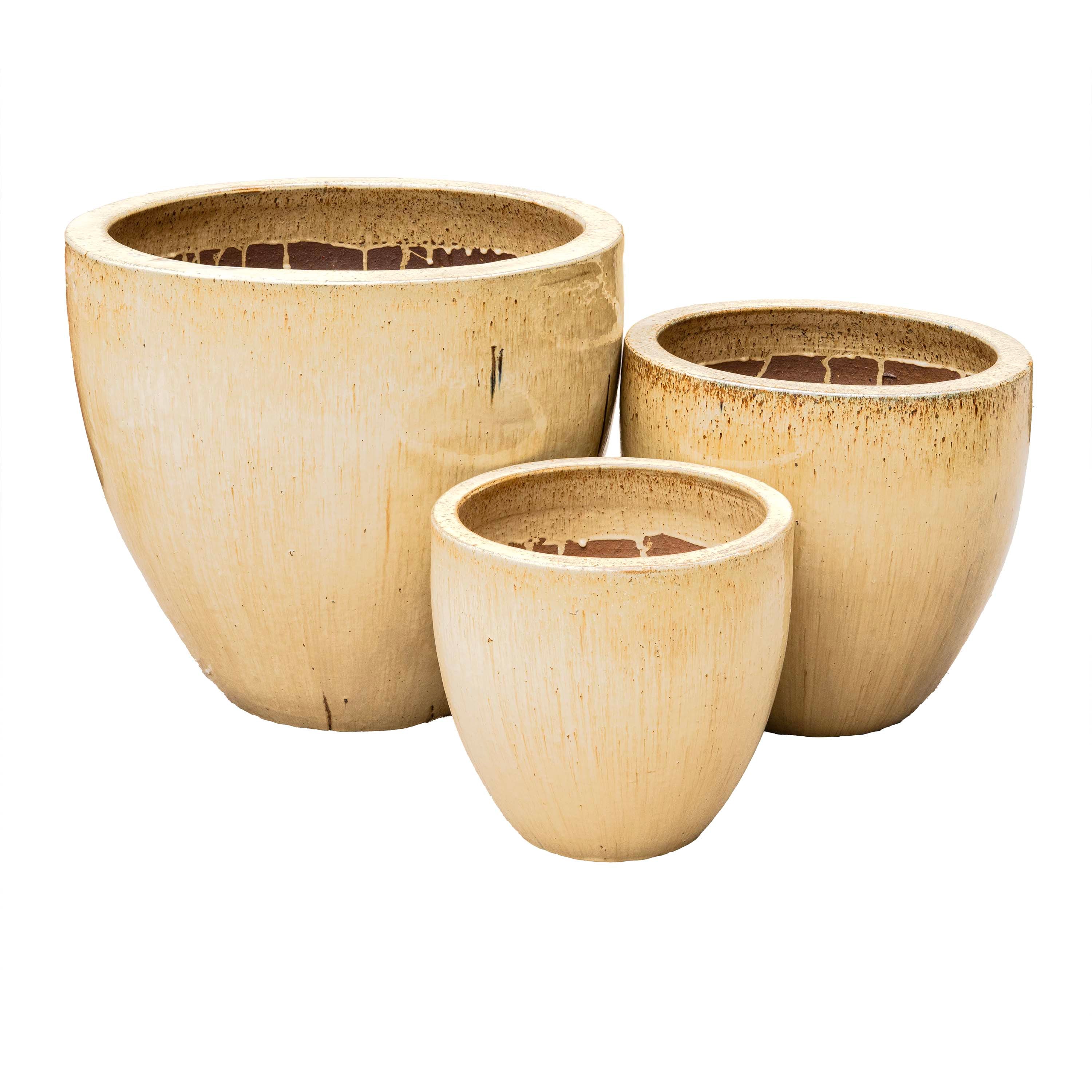 EGG PLANTER