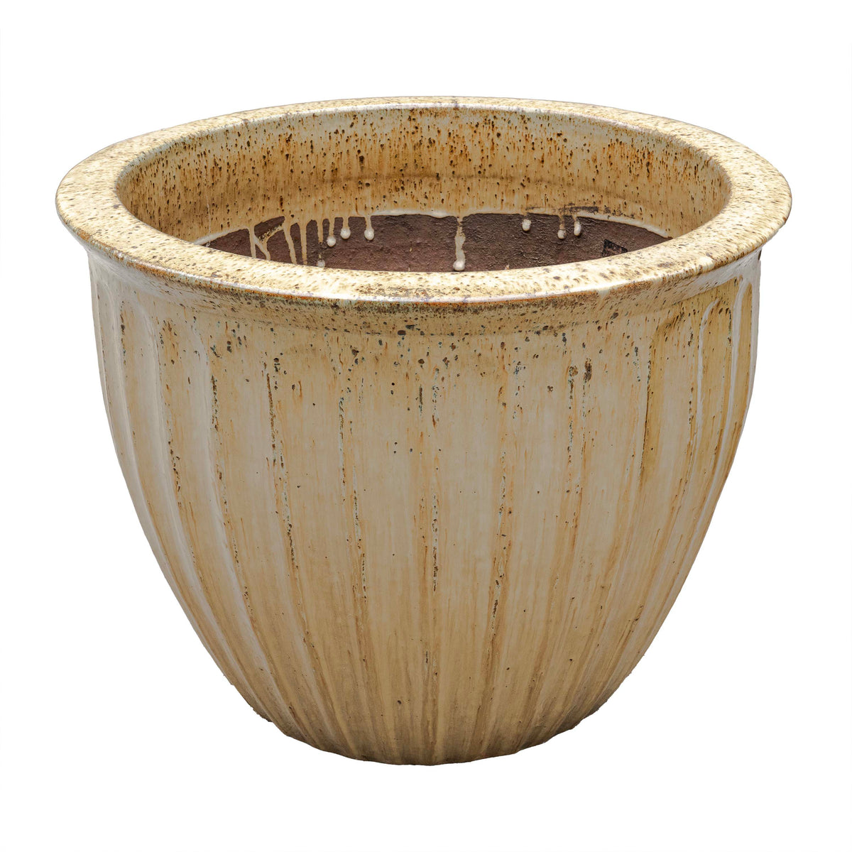 STARFRUIT PLANTER