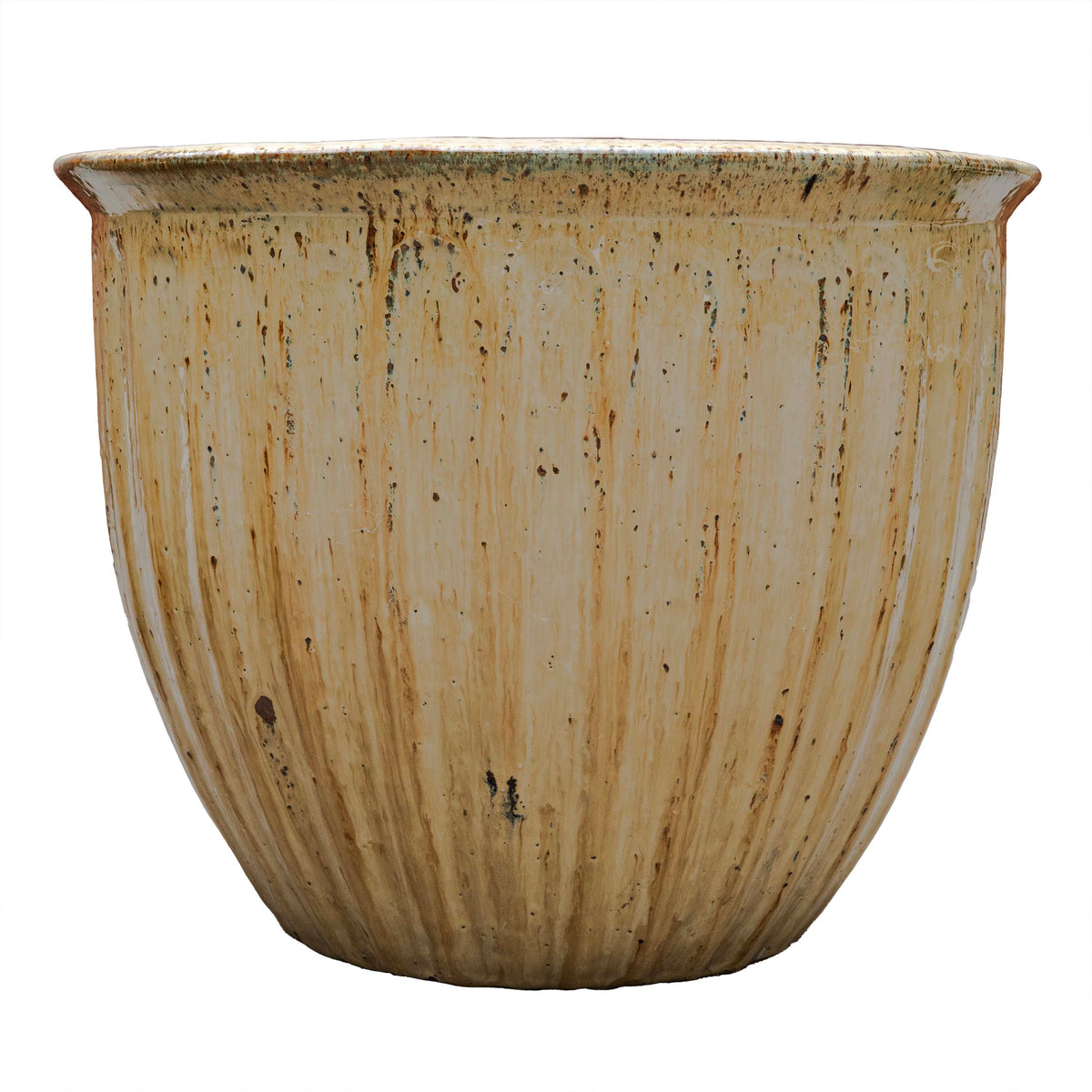 STARFRUIT PLANTER