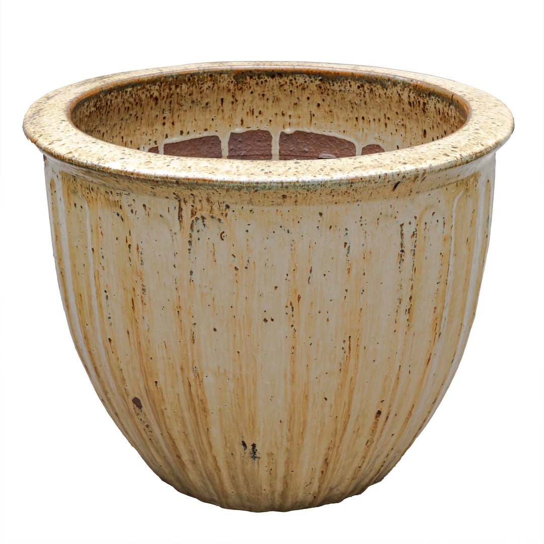STARFRUIT PLANTER