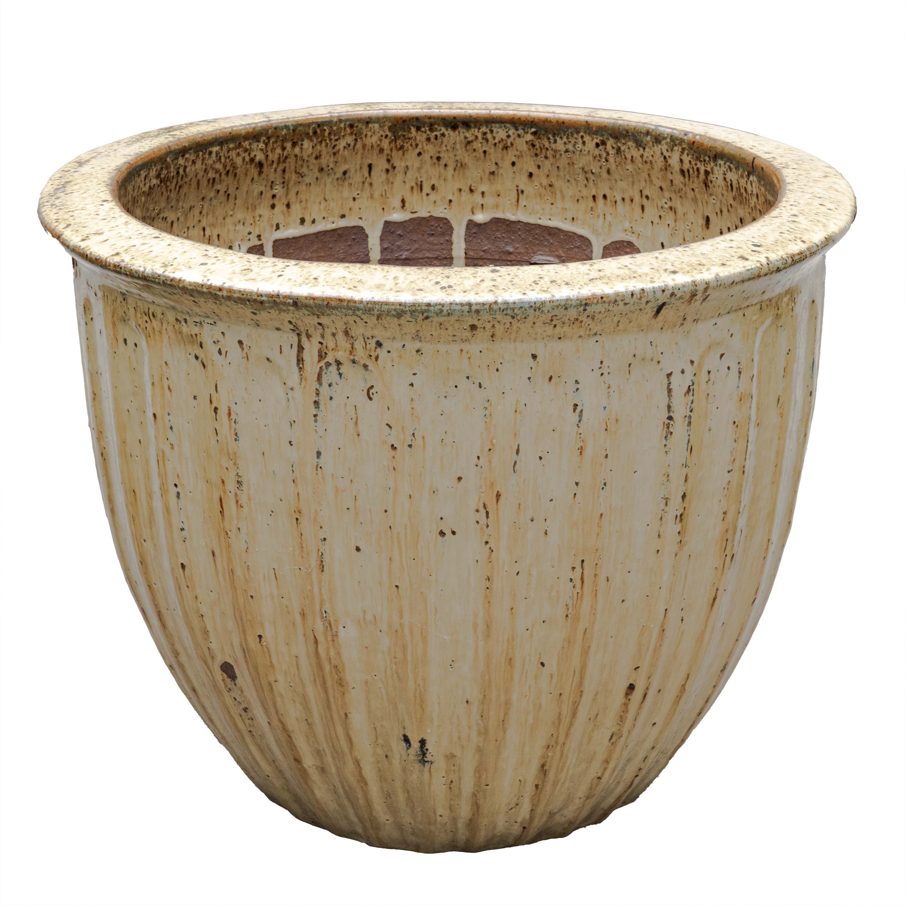 STARFRUIT PLANTER