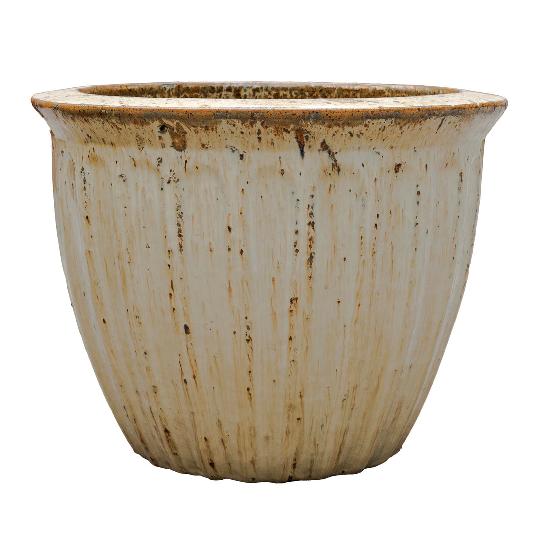 STARFRUIT PLANTER