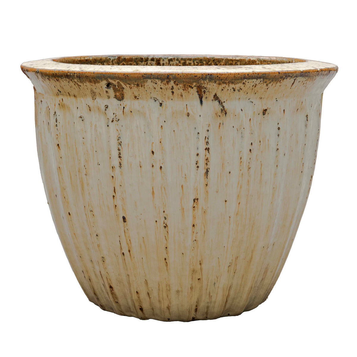 STARFRUIT PLANTER