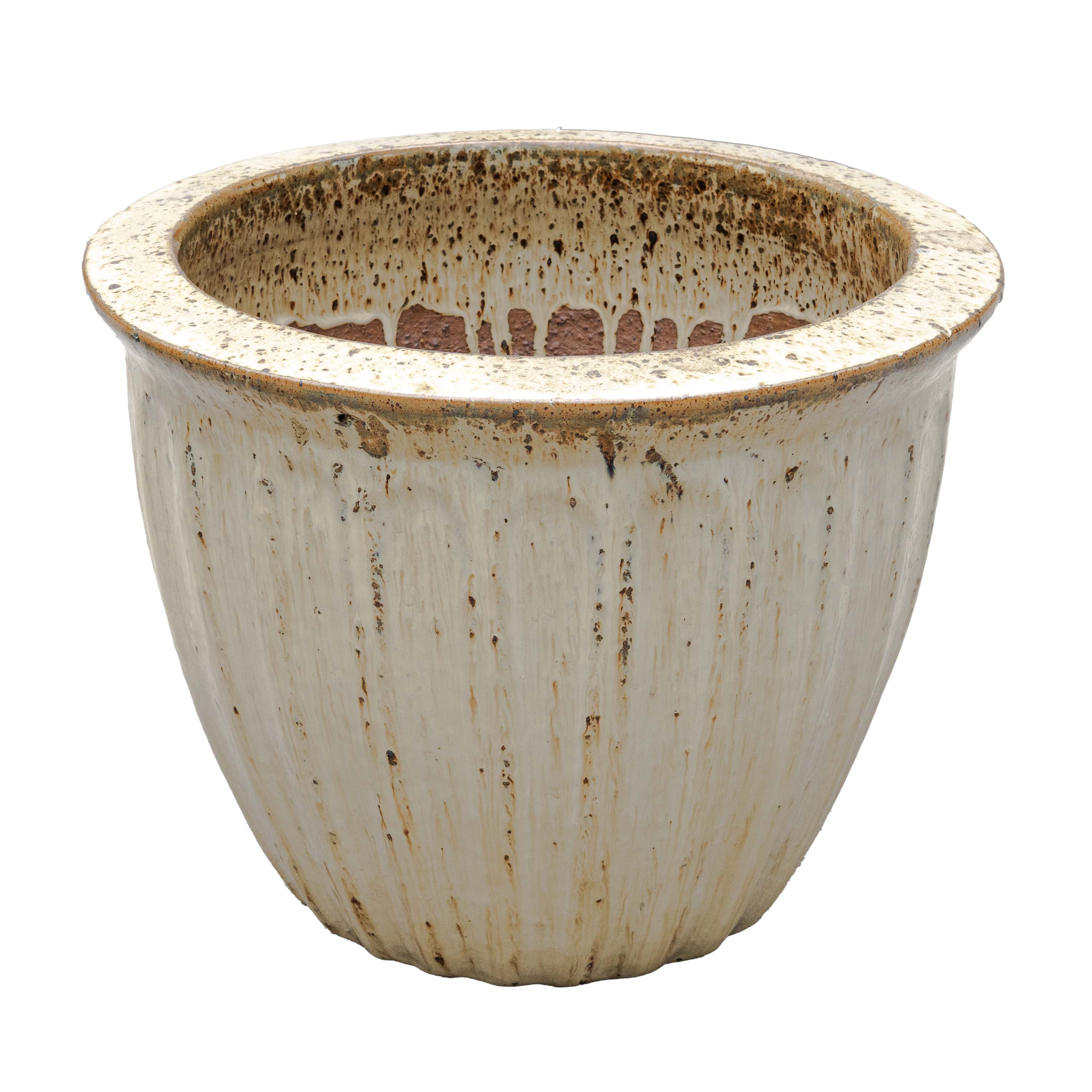STARFRUIT PLANTER