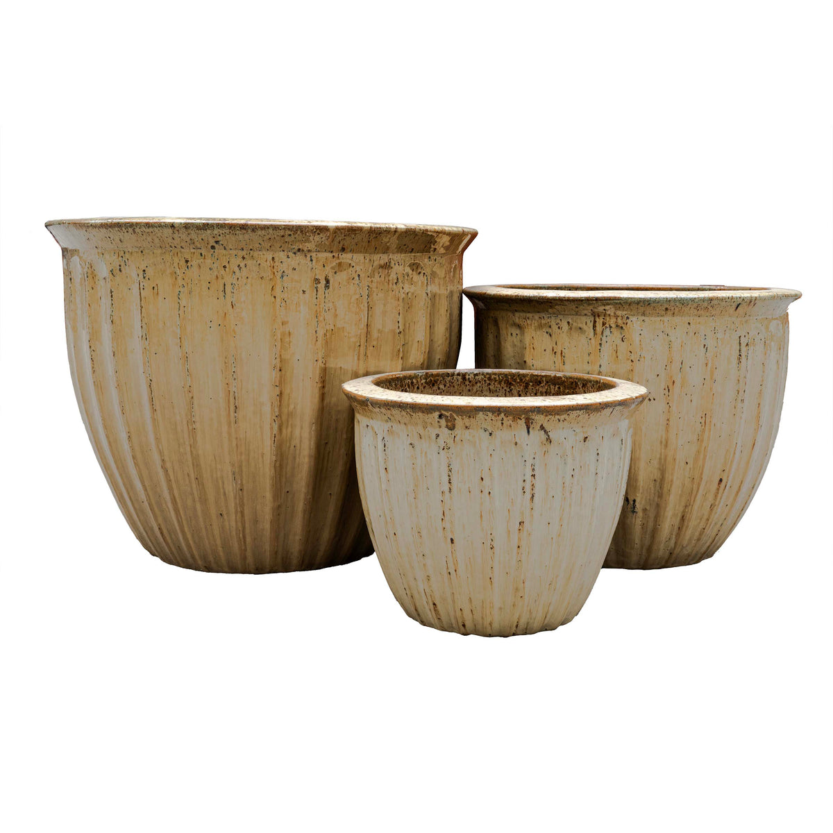 STARFRUIT PLANTER