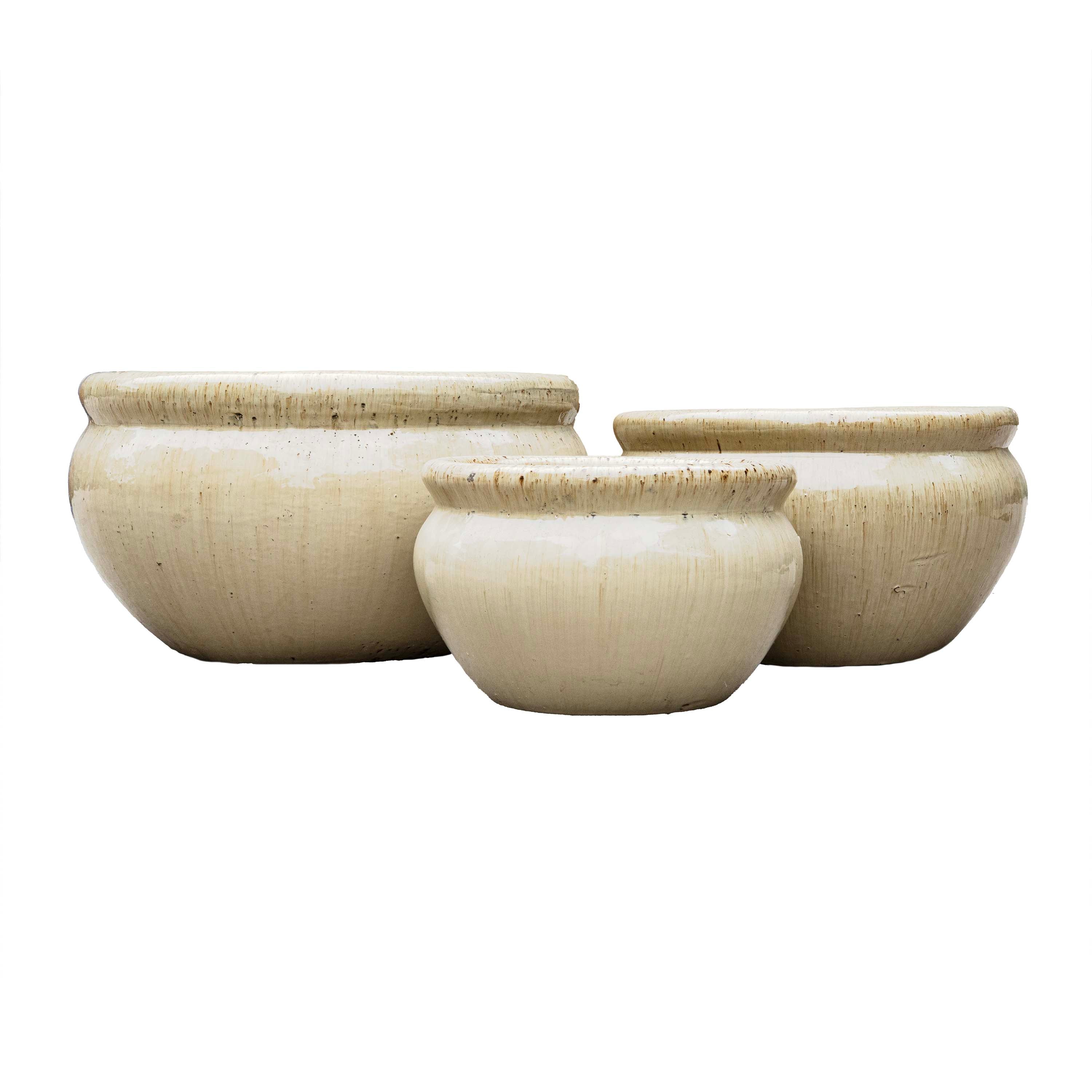 Sanskrit Planter