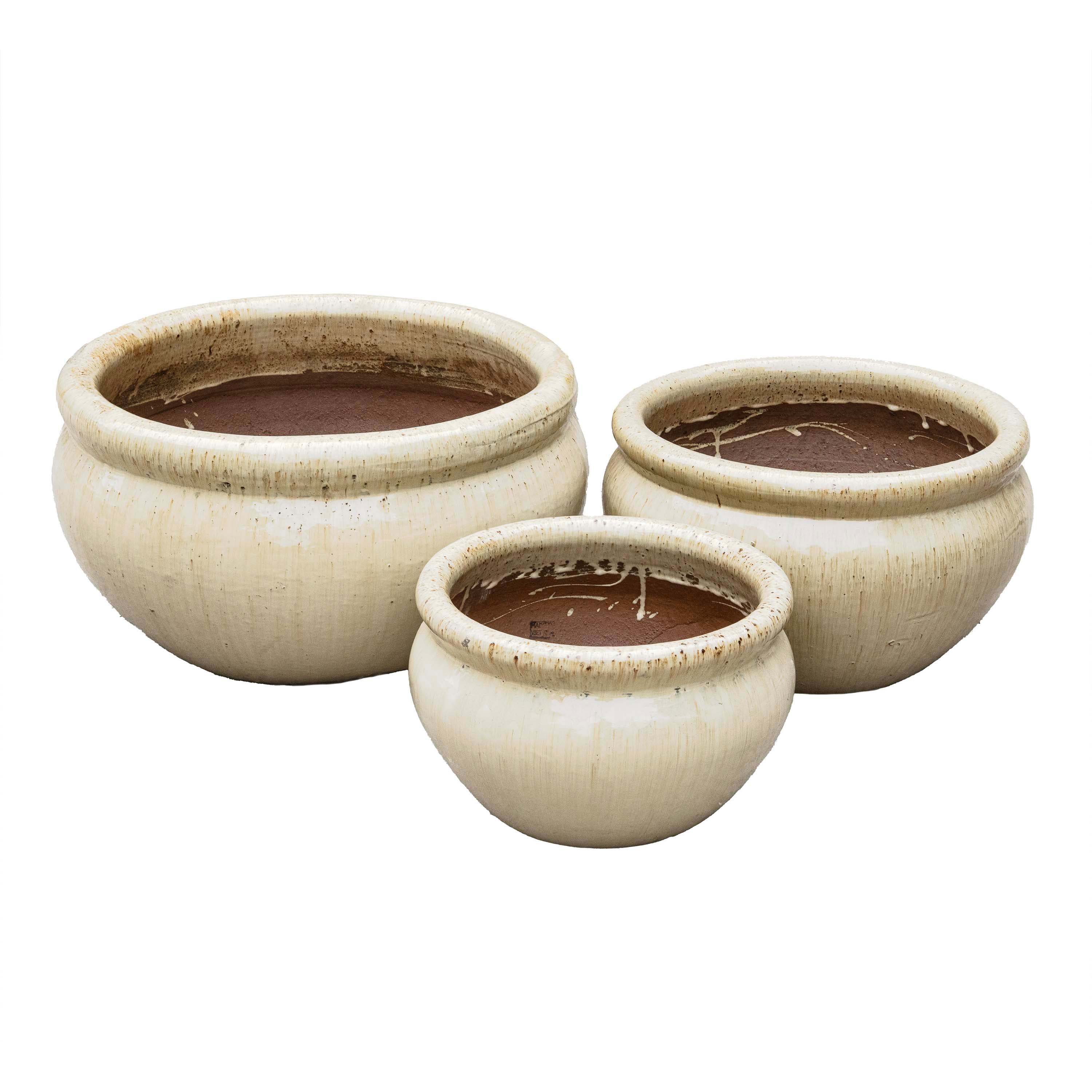 Sanskrit Planter