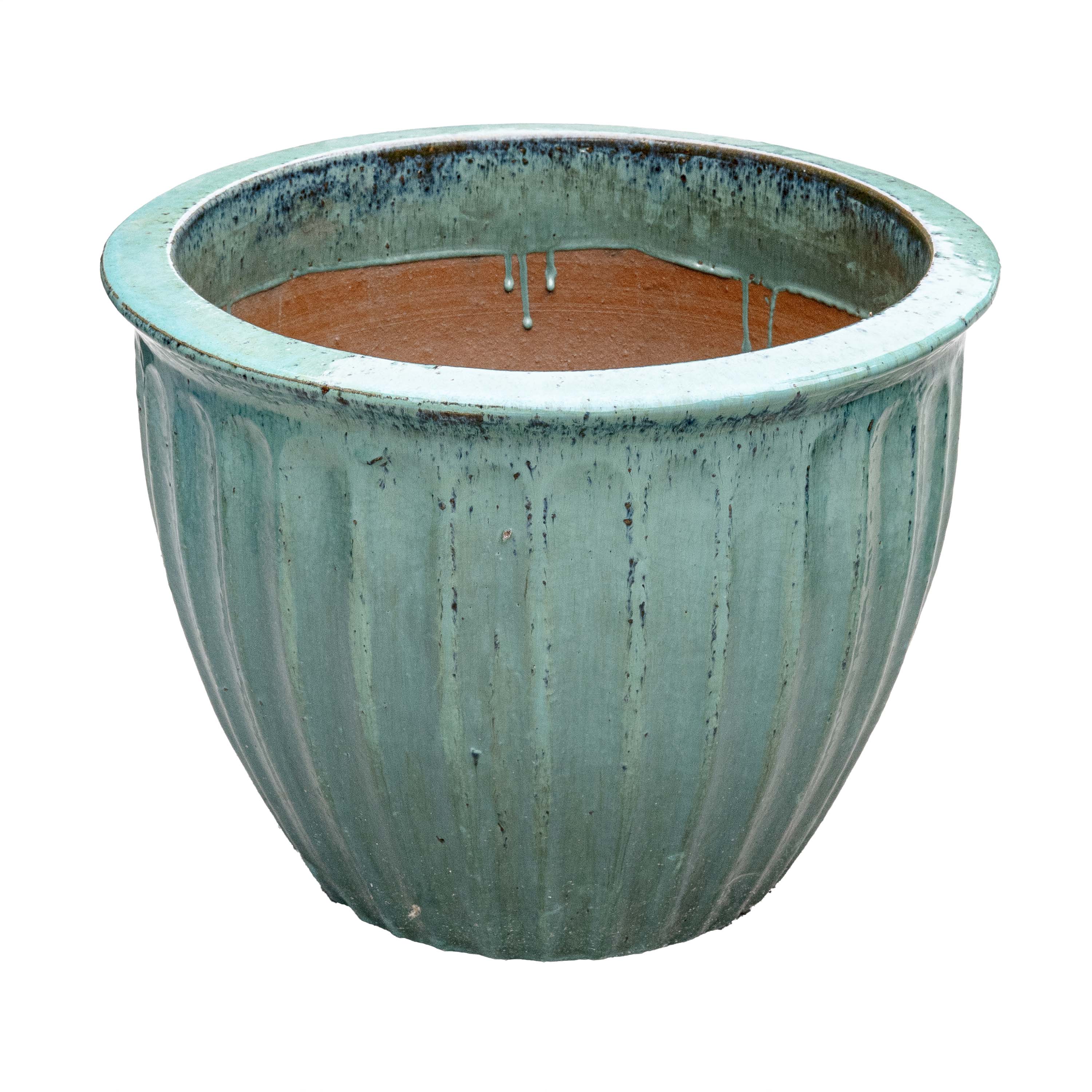 STARFRUIT PLANTER