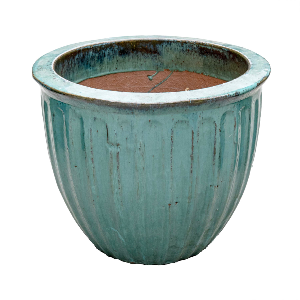 STARFRUIT PLANTER