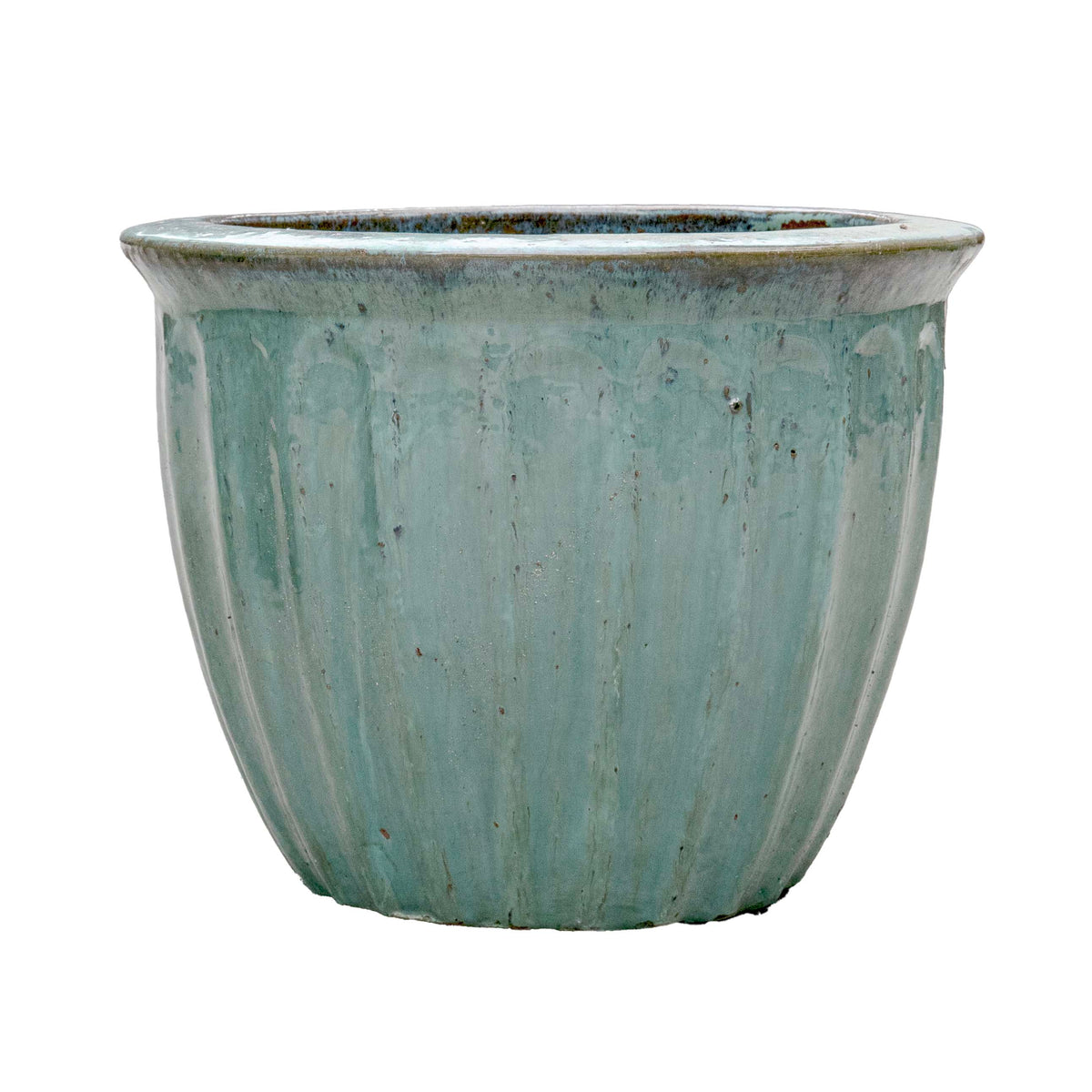 STARFRUIT PLANTER
