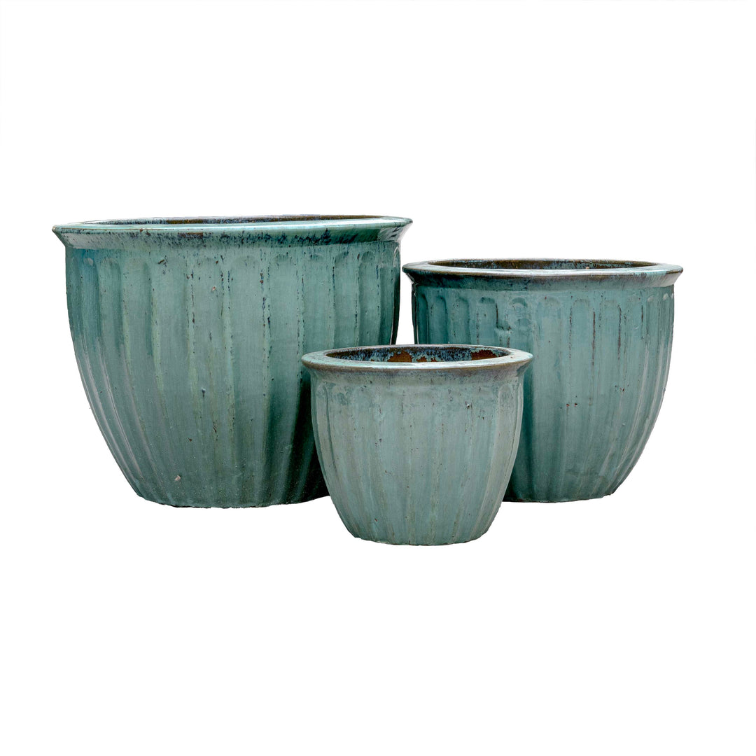 STARFRUIT PLANTER