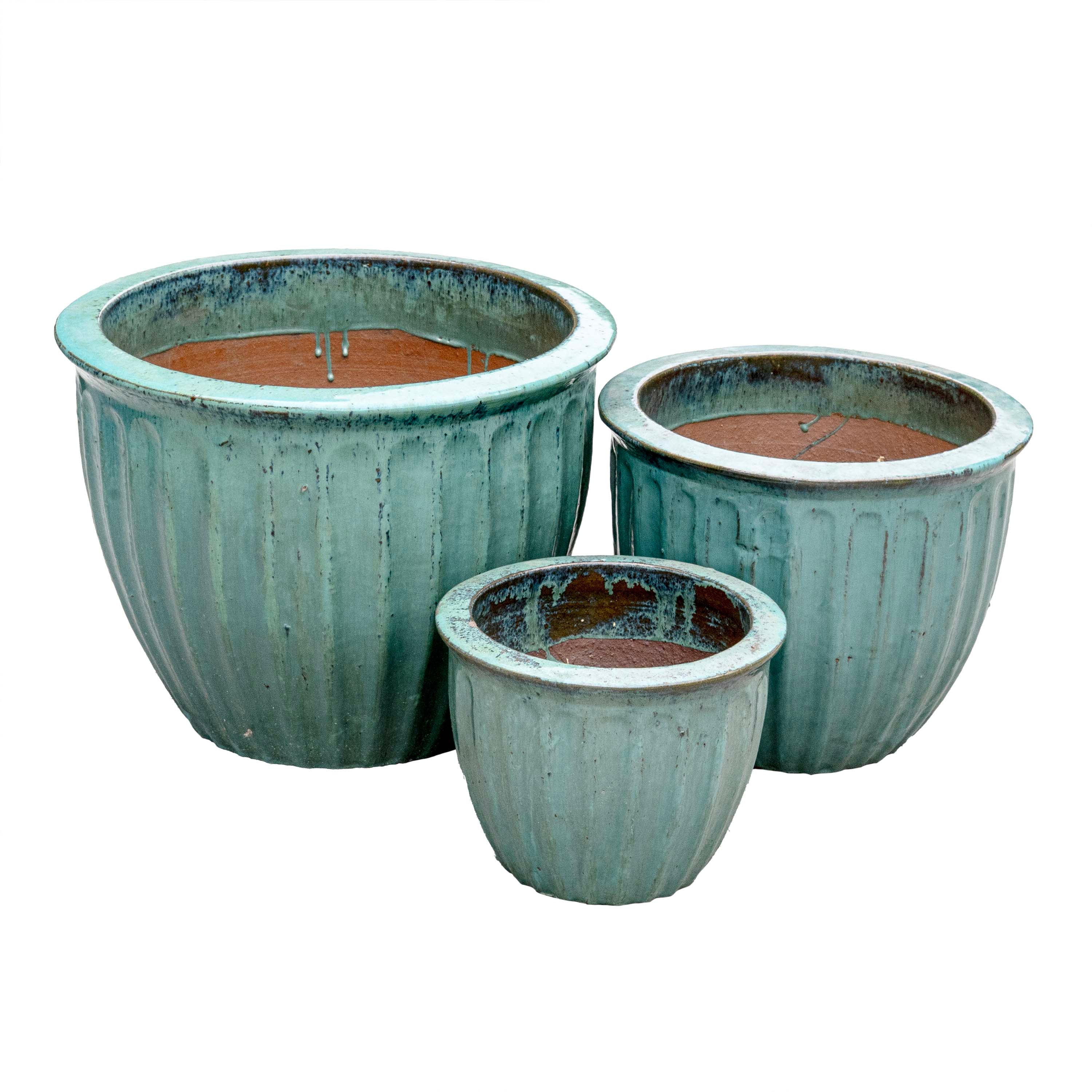 STARFRUIT PLANTER