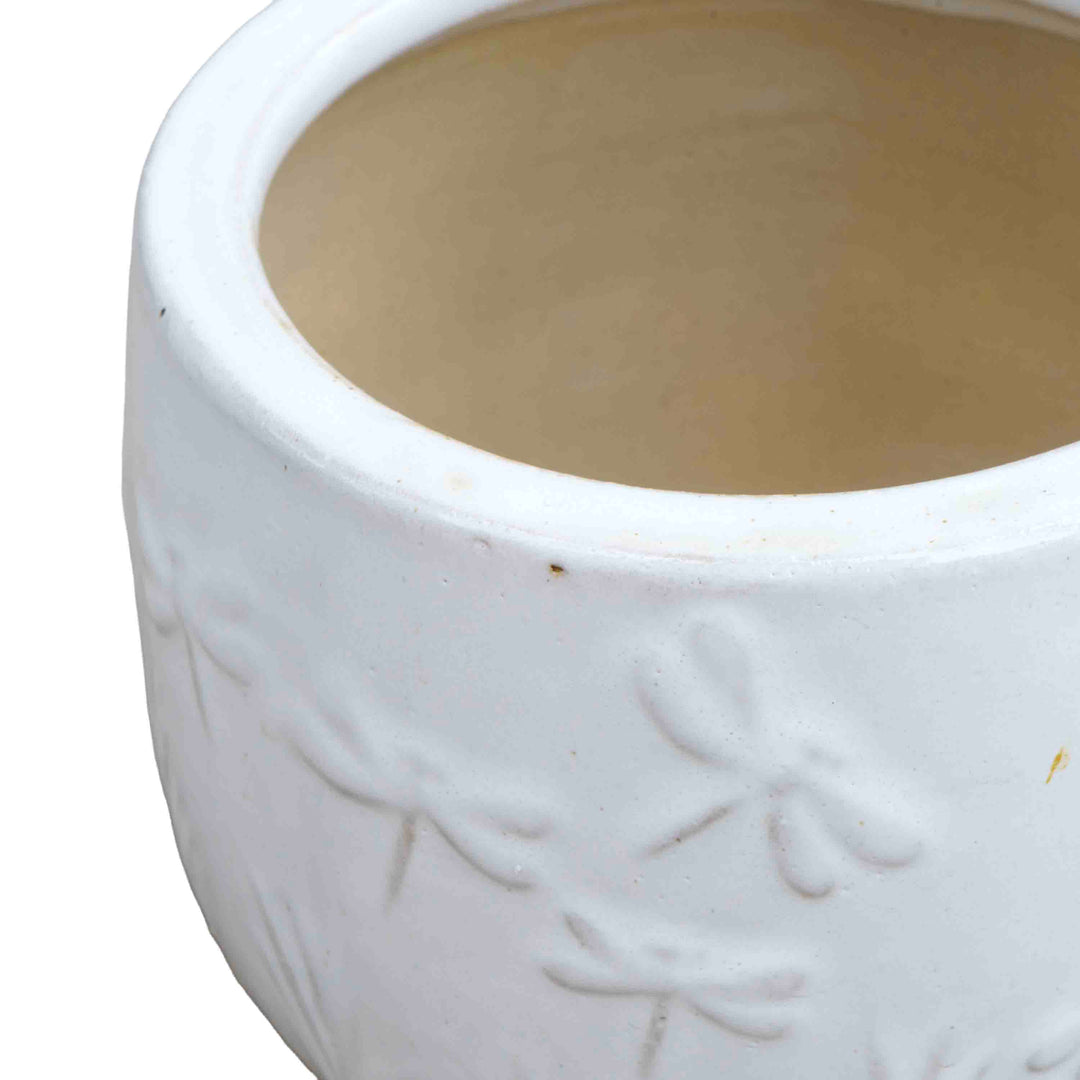 Dora Ceramic Planter