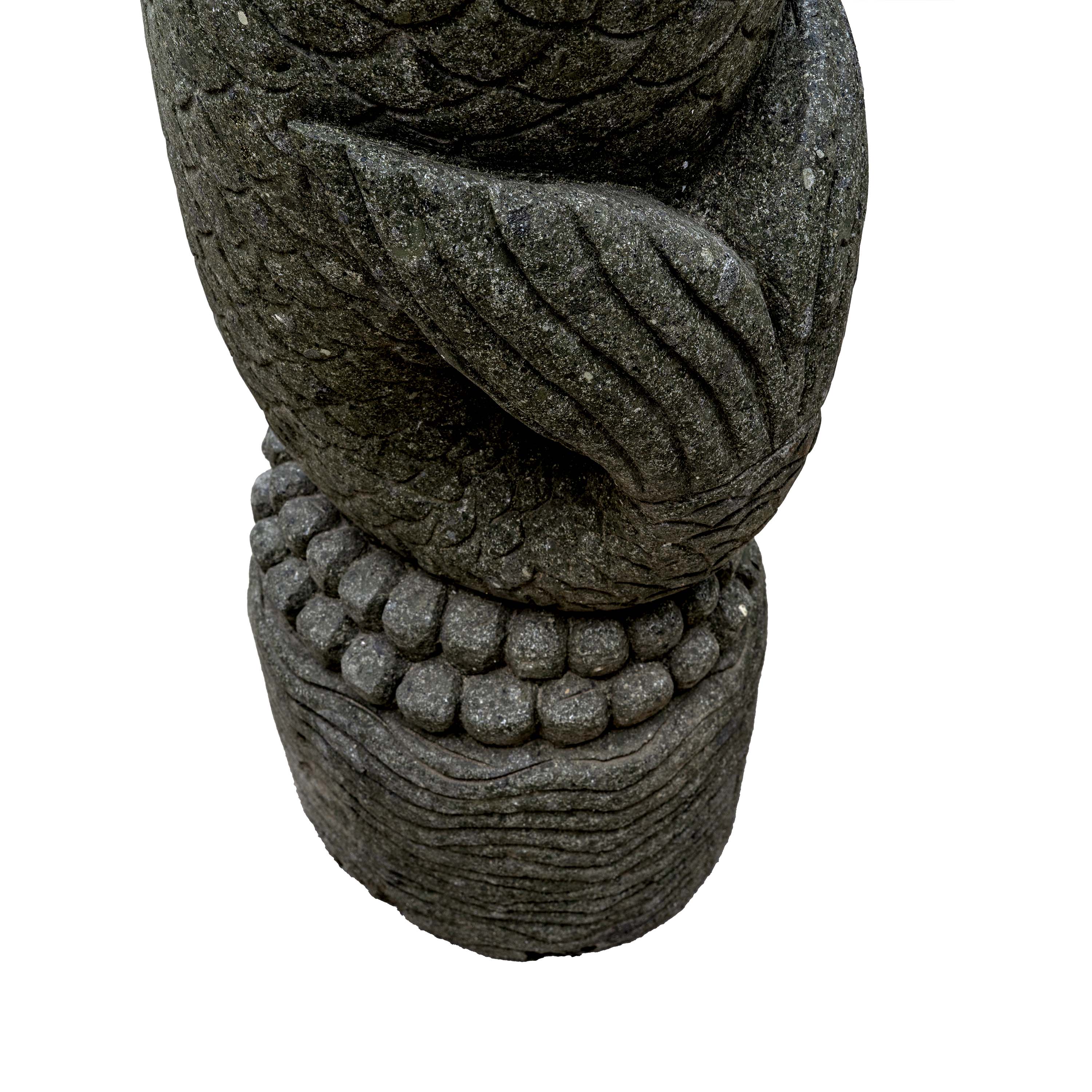 TARANGI FISH