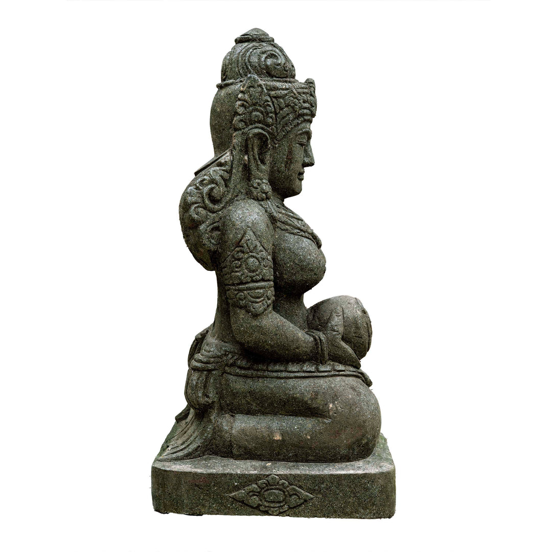DEVI BHUMI