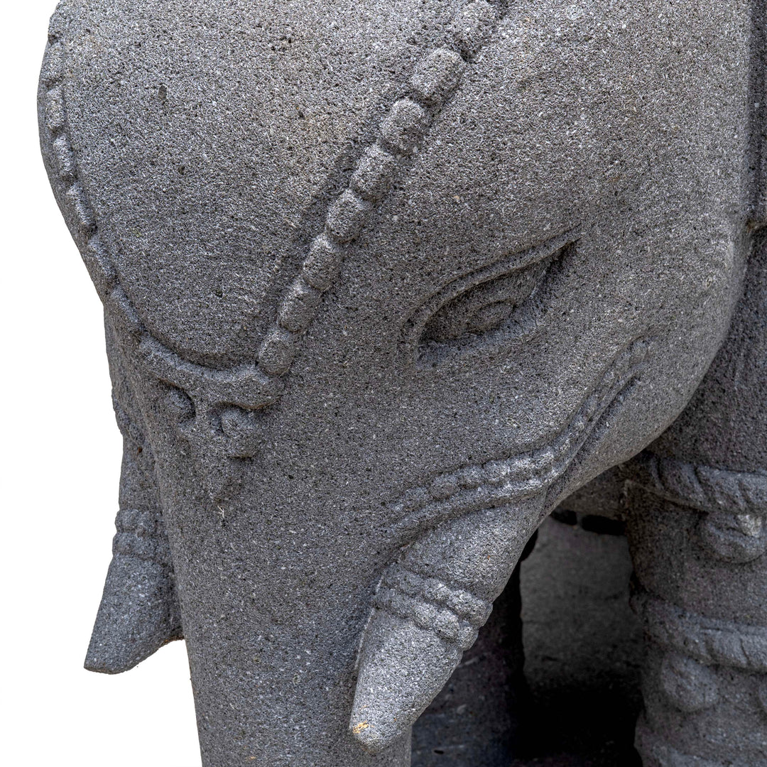 GANESHA TEJAS