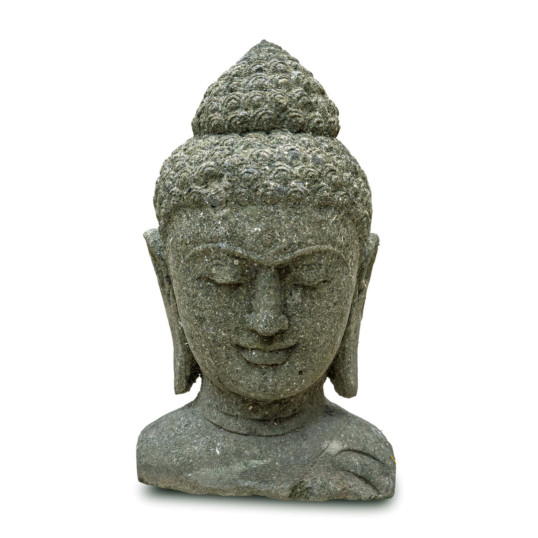BUDDHA SHARAN