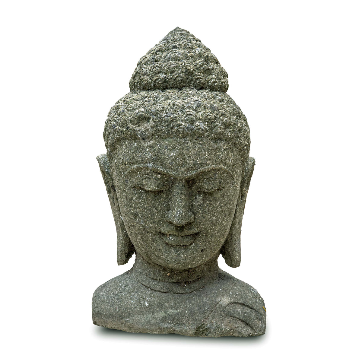 BUDDHA SHARAN
