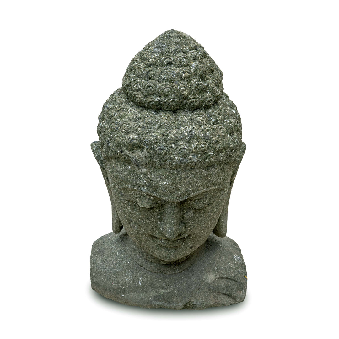 BUDDHA SHARAN