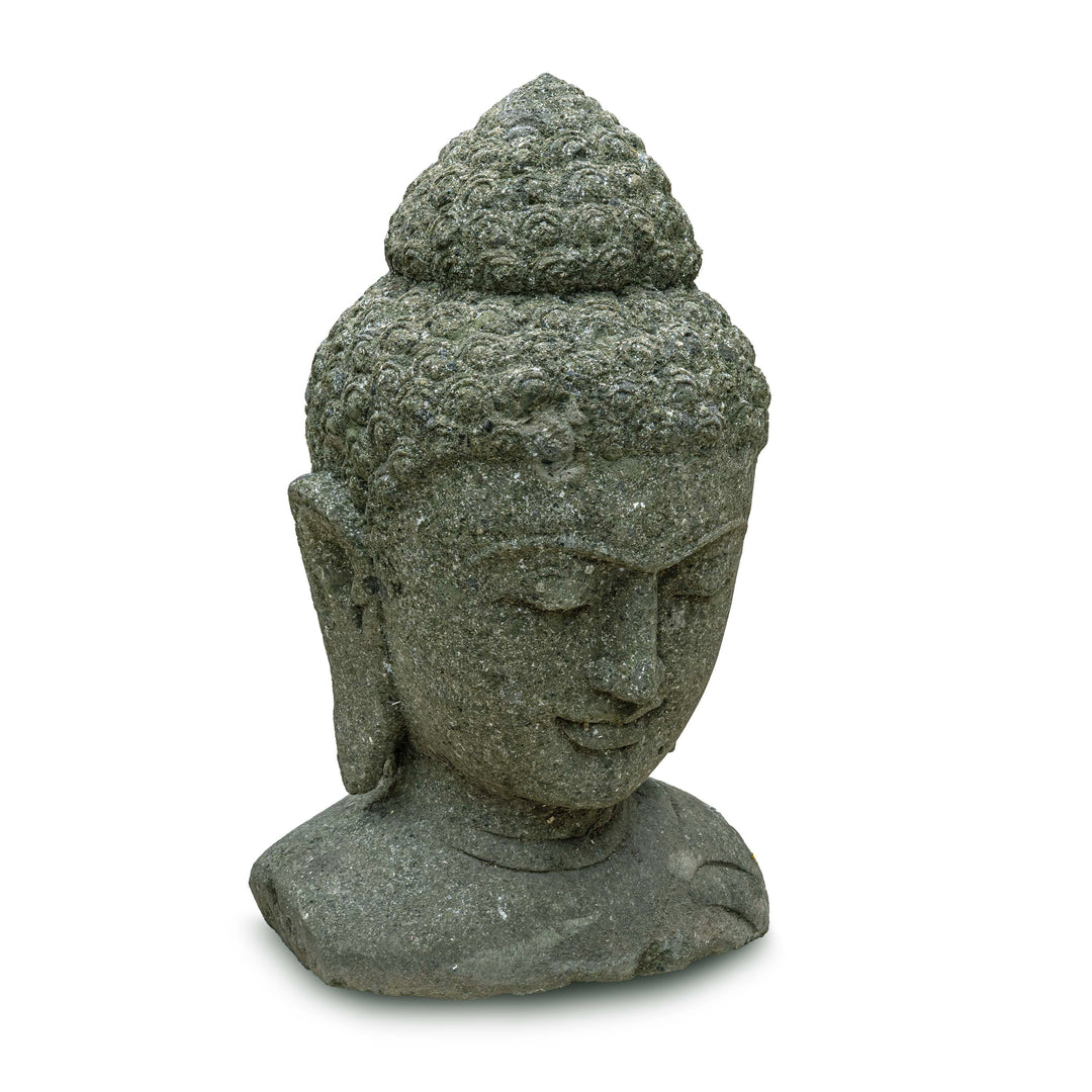 BUDDHA SHARAN
