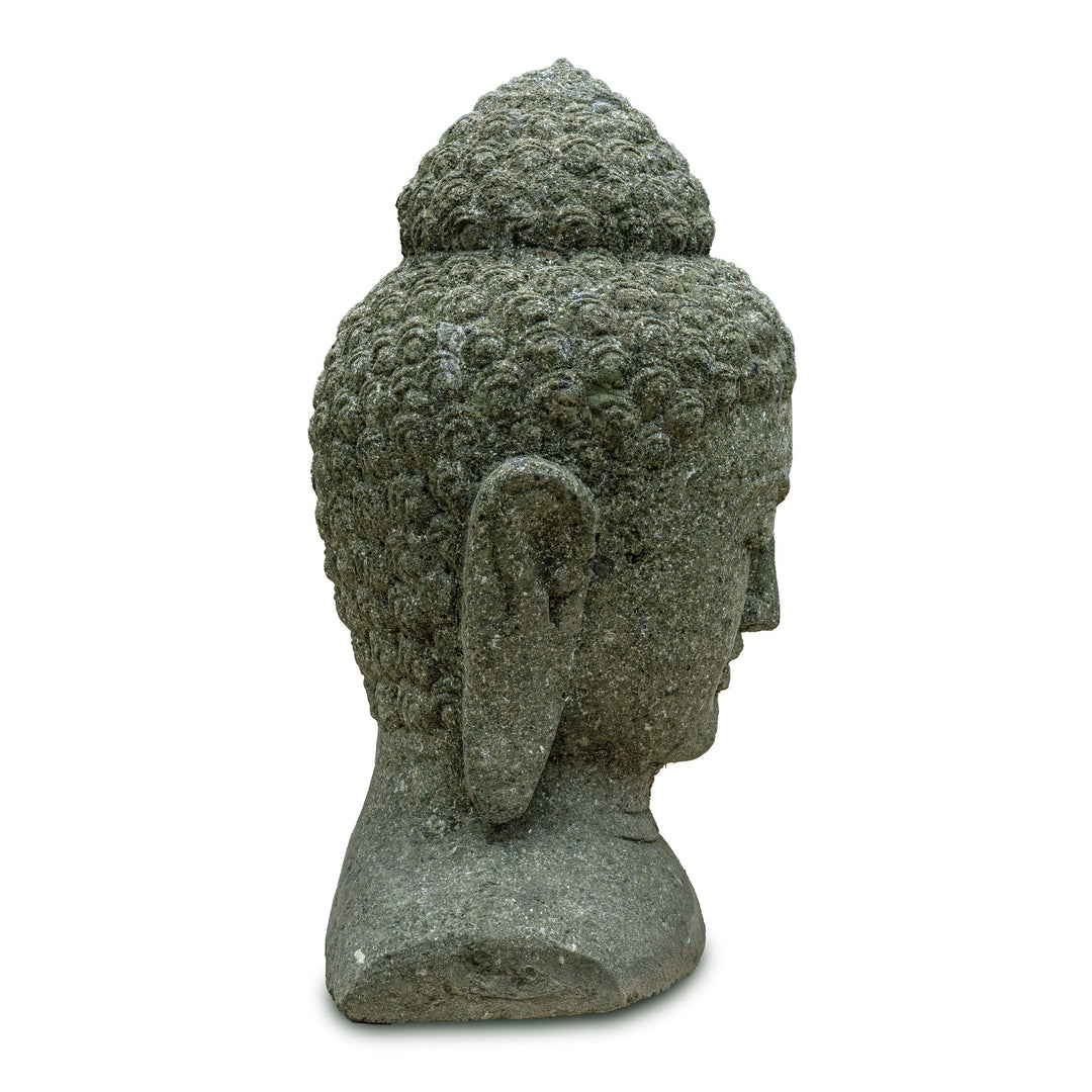 BUDDHA SHARAN