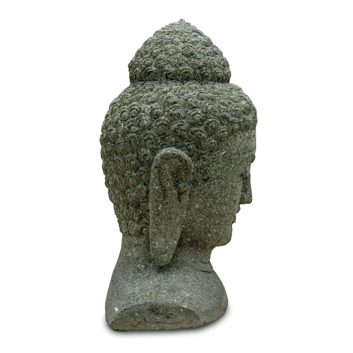 BUDDHA SHARAN
