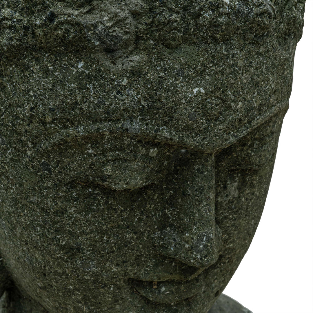BUDDHA SHARAN