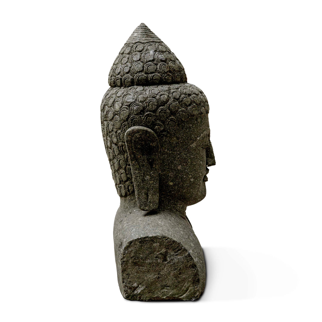 BUDDHA SHARAN II