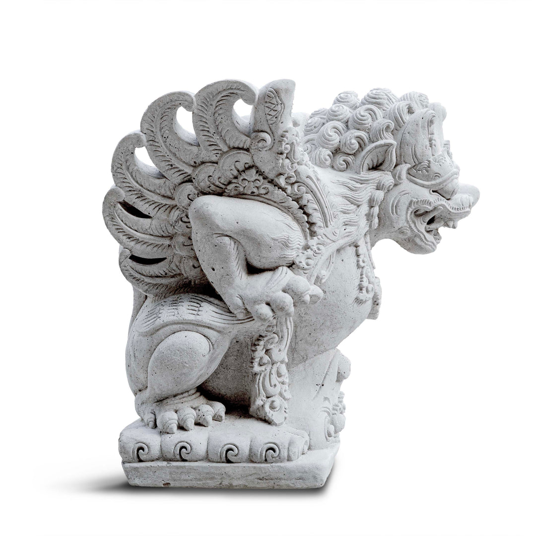 LION AGNI