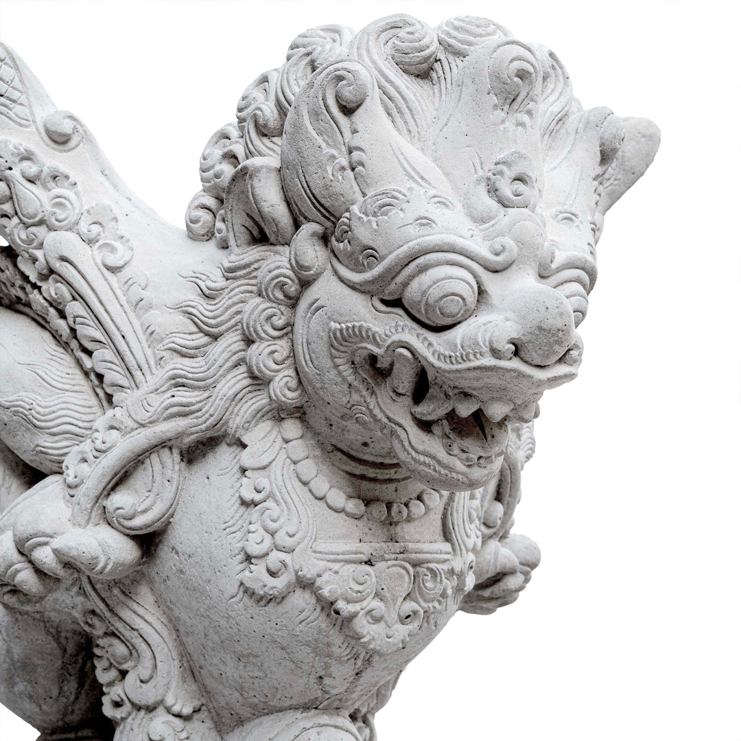 LION AGNI