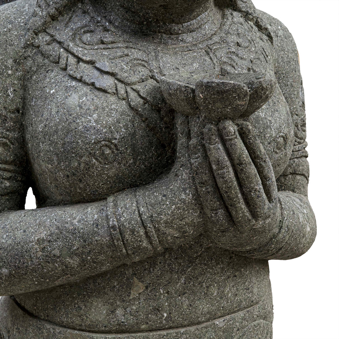 TARA ZEN