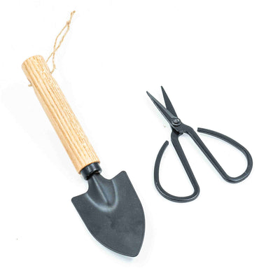 Stainless Garden Tool (Set of 2)