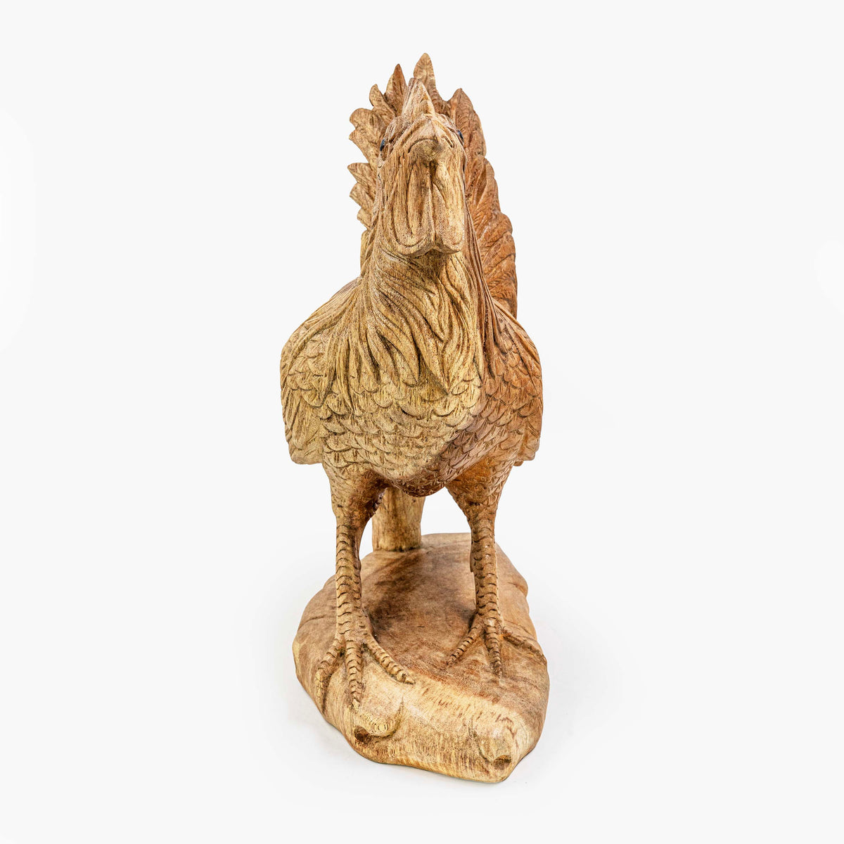 AYU ROOSTER