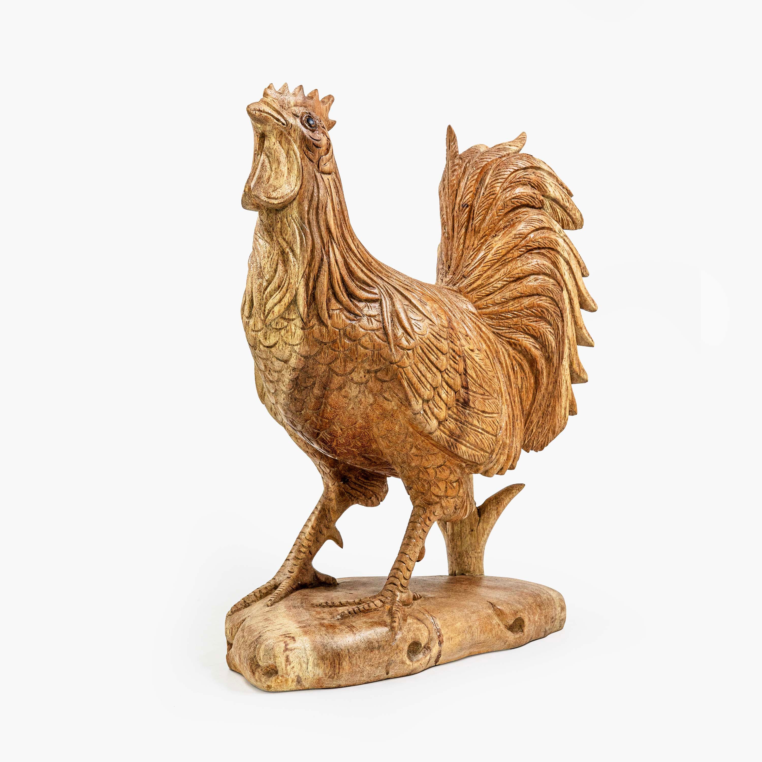 AYU ROOSTER