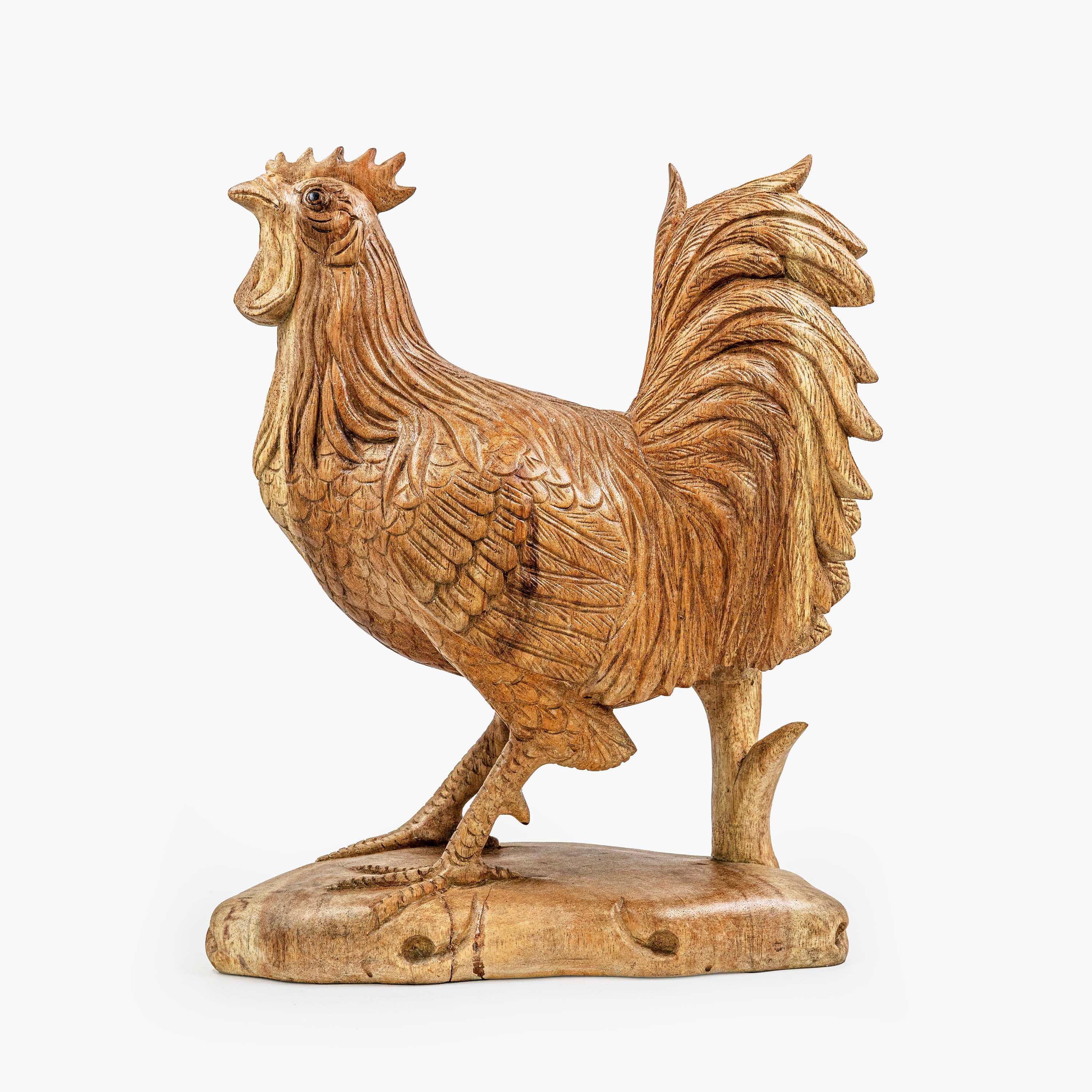 AYU ROOSTER