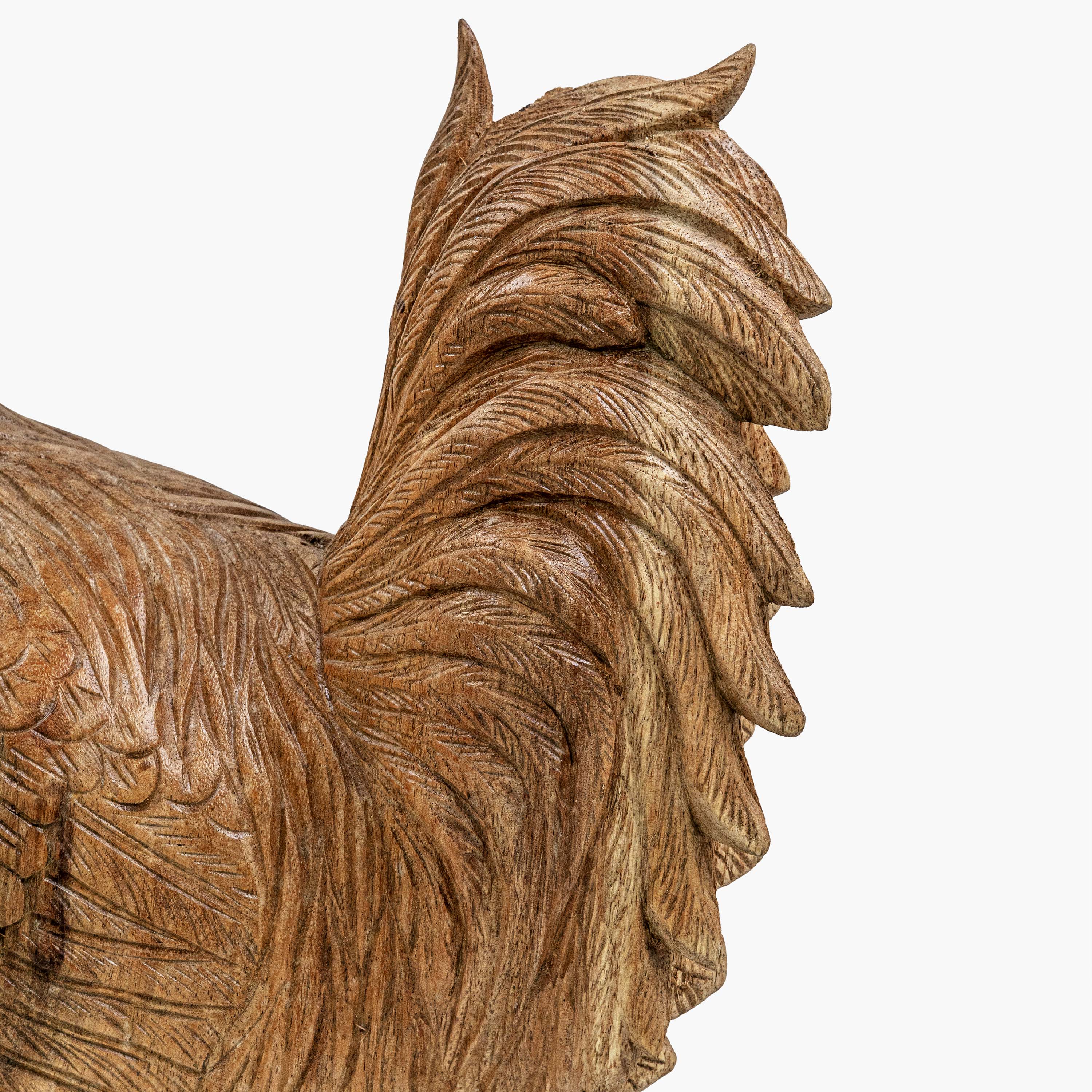 AYU ROOSTER