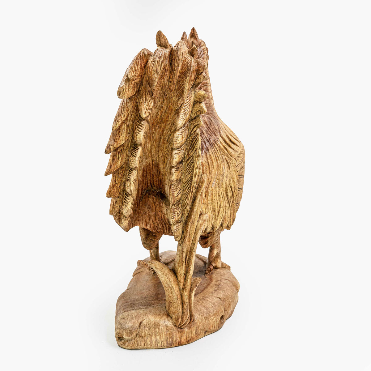AYU ROOSTER