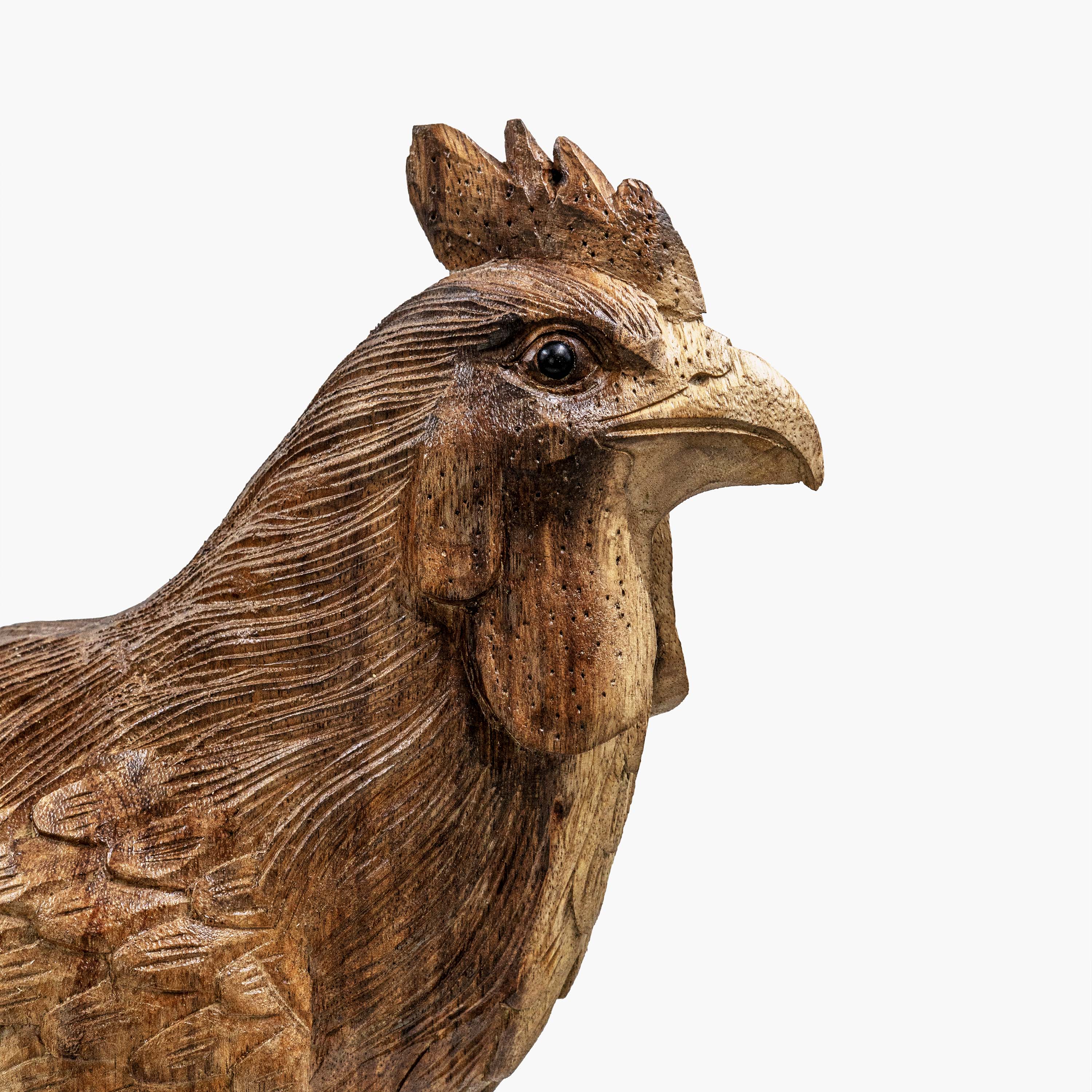 AYU ROOSTER