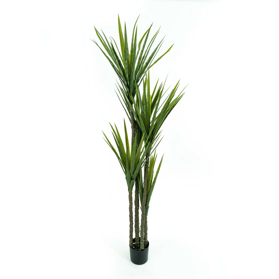 Faux Dracaena Tree With Pot And Faux Soi - Large 6ft