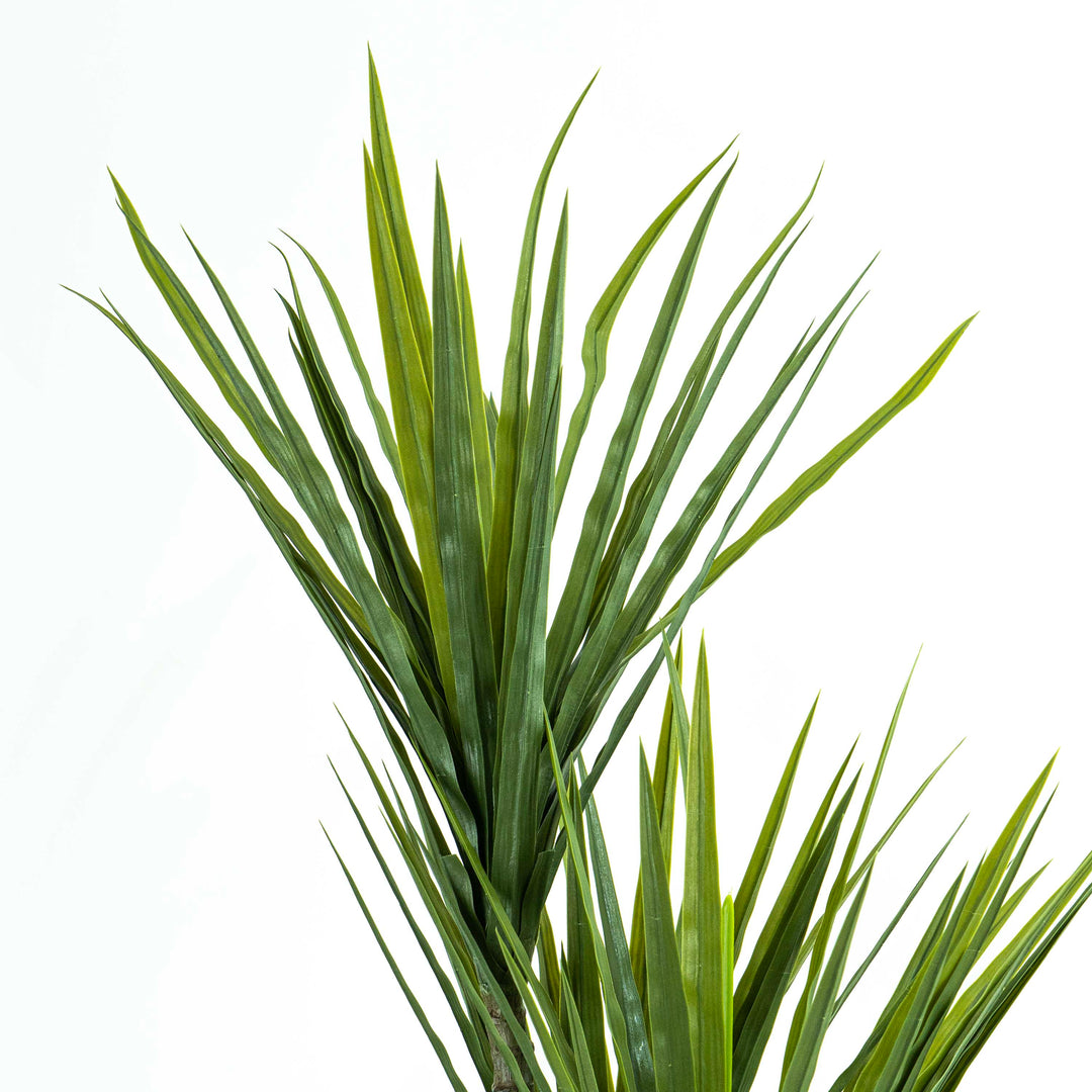 Faux Dracaena Tree With Pot And Faux Soi - Large 6ft