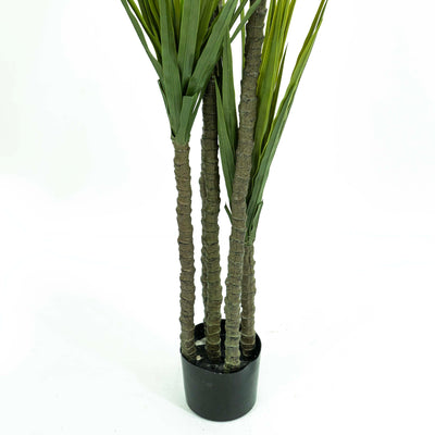 Faux Dracaena Tree With Pot And Faux Soi - Large 6ft