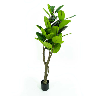 Faux Rubber Plant With Pot And Faux Soi - Large 5ft