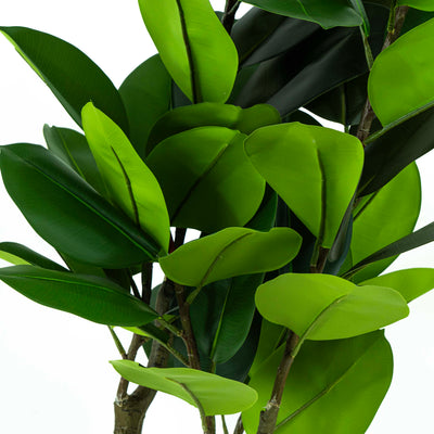 Faux Rubber Plant With Pot And Faux Soi - Large 5ft