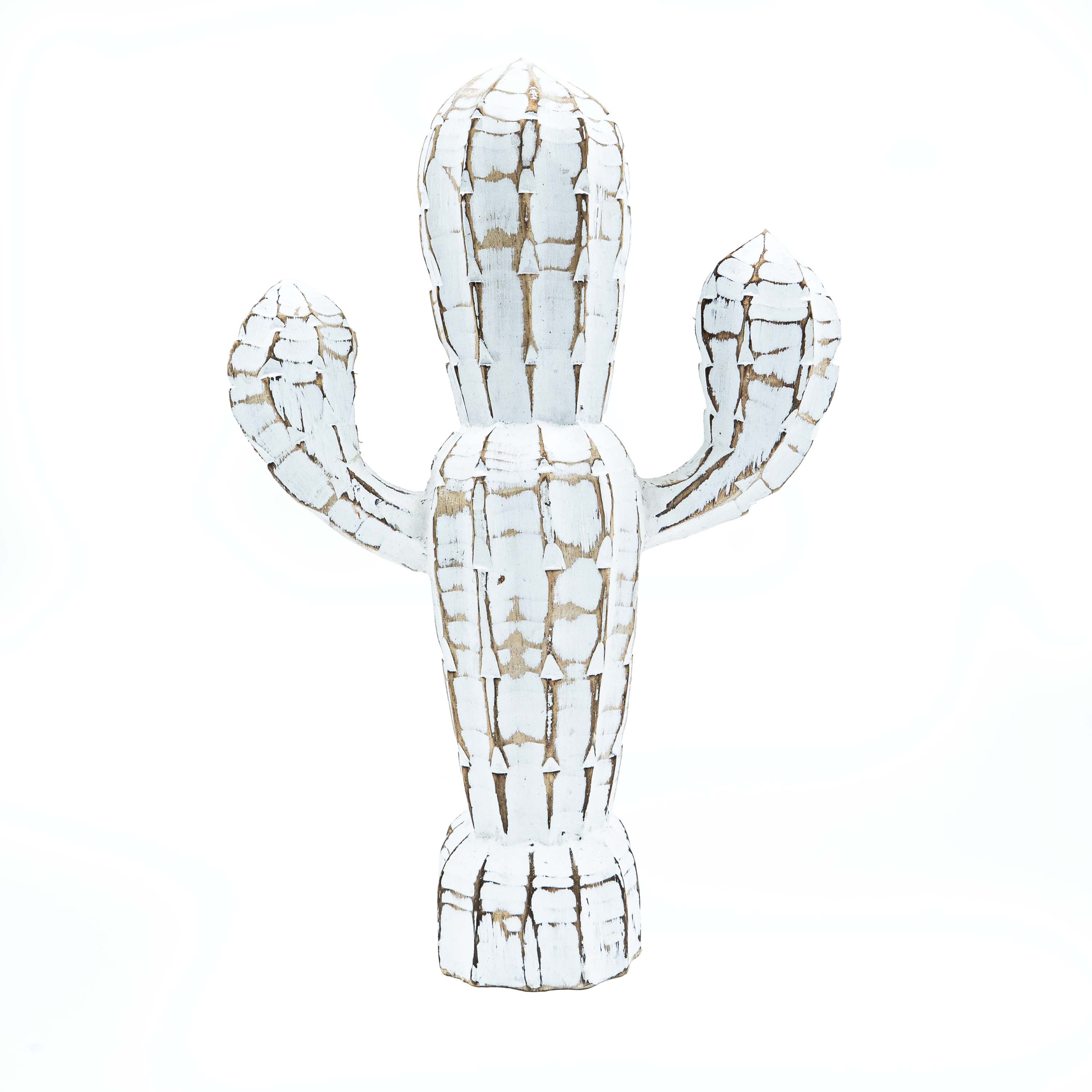 Albizia Wooden Cactus