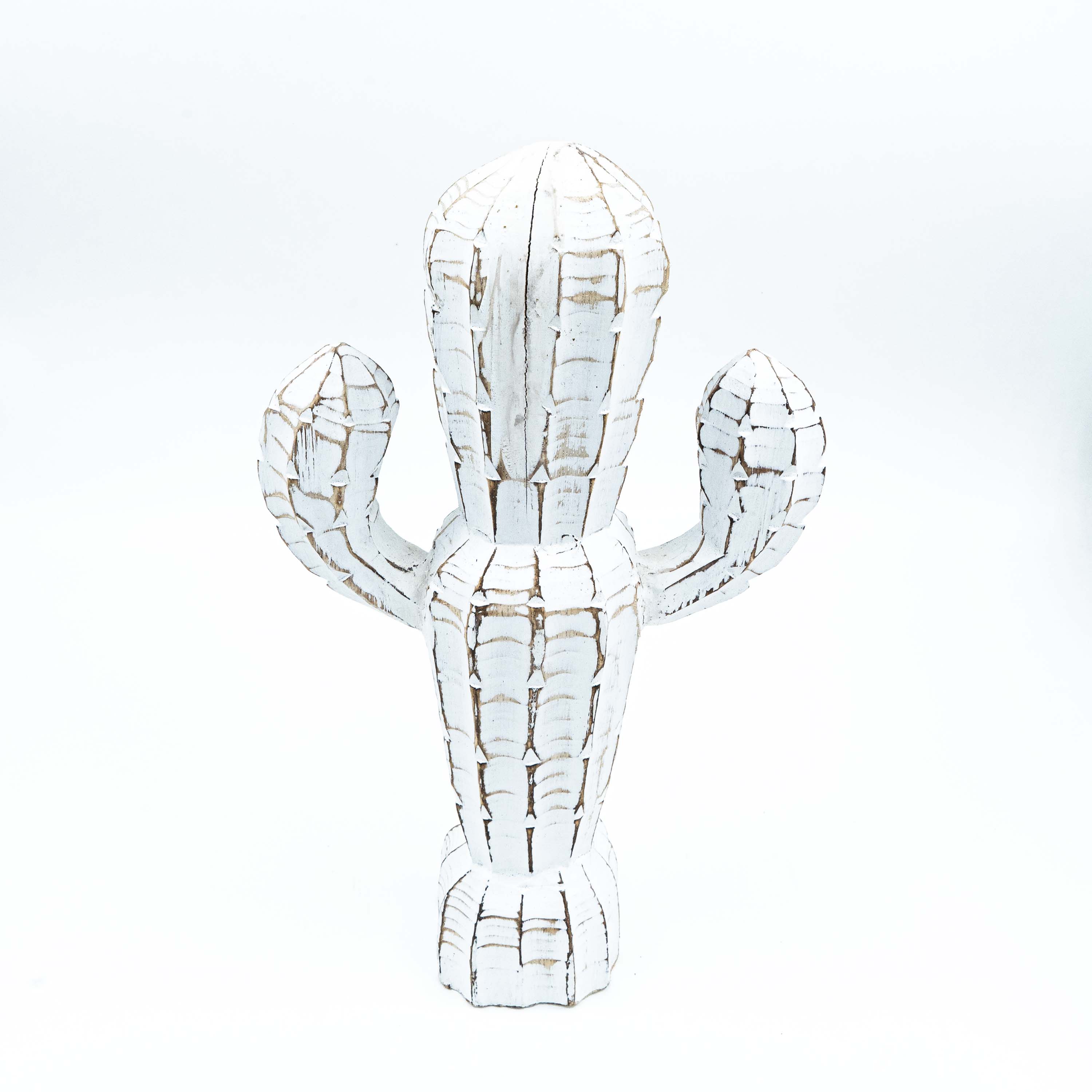 Albizia Wooden Cactus