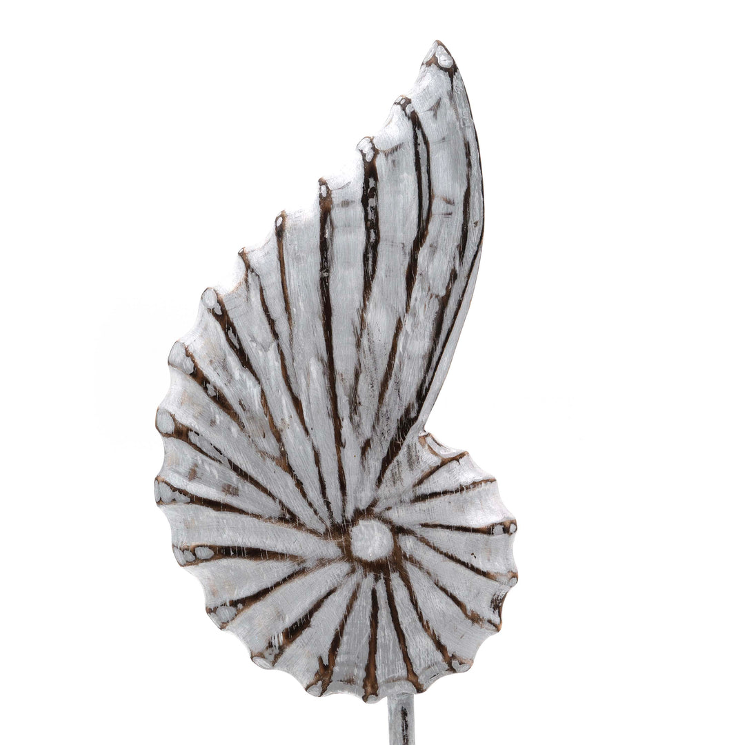 Albizia Wooden Sea Shell On Stand