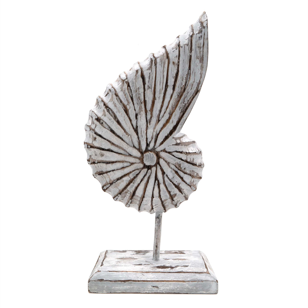 Albizia Wooden Sea Shell On Stand