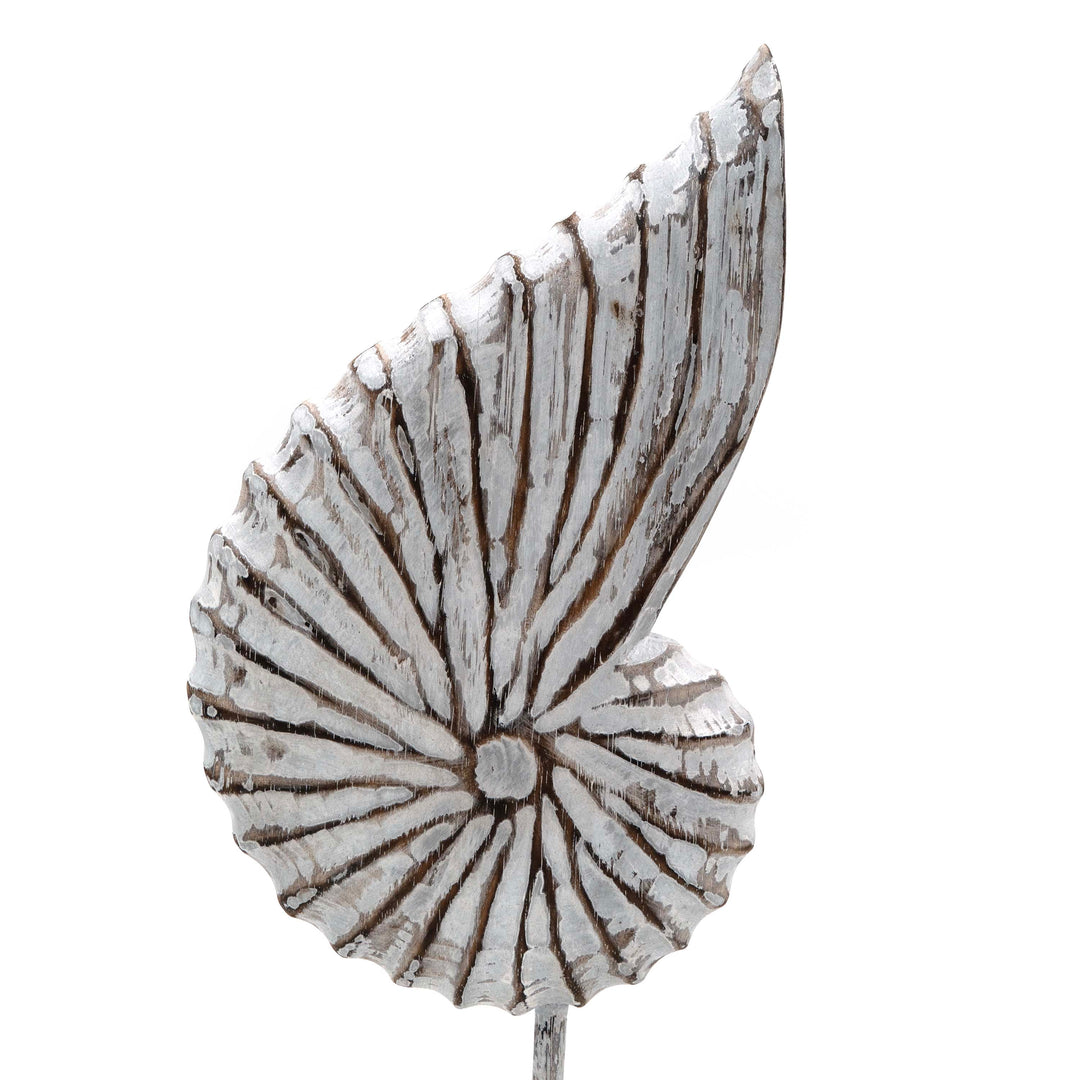 Albizia Wooden Sea Shell On Stand