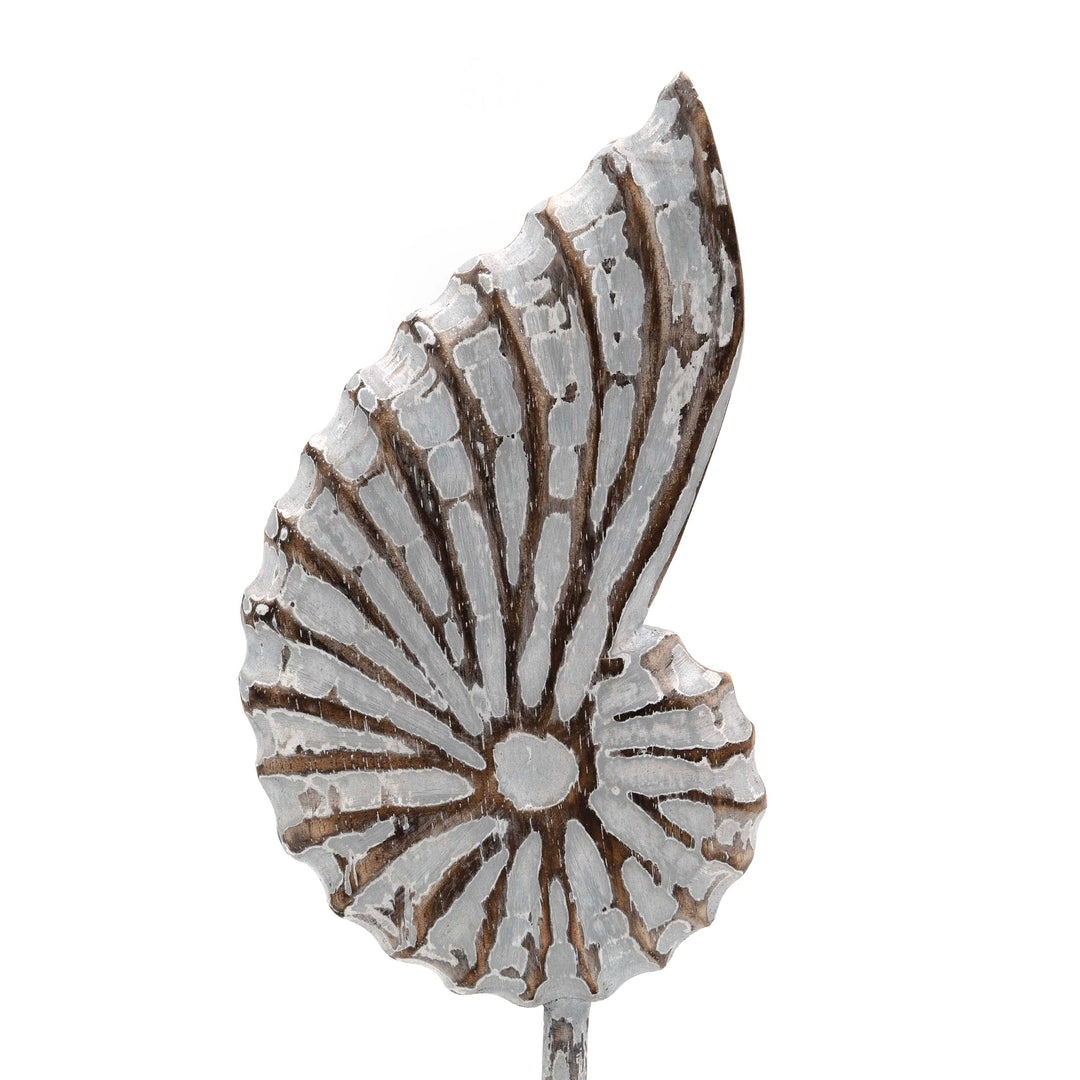 Albizia Wooden Sea Shell On Stand