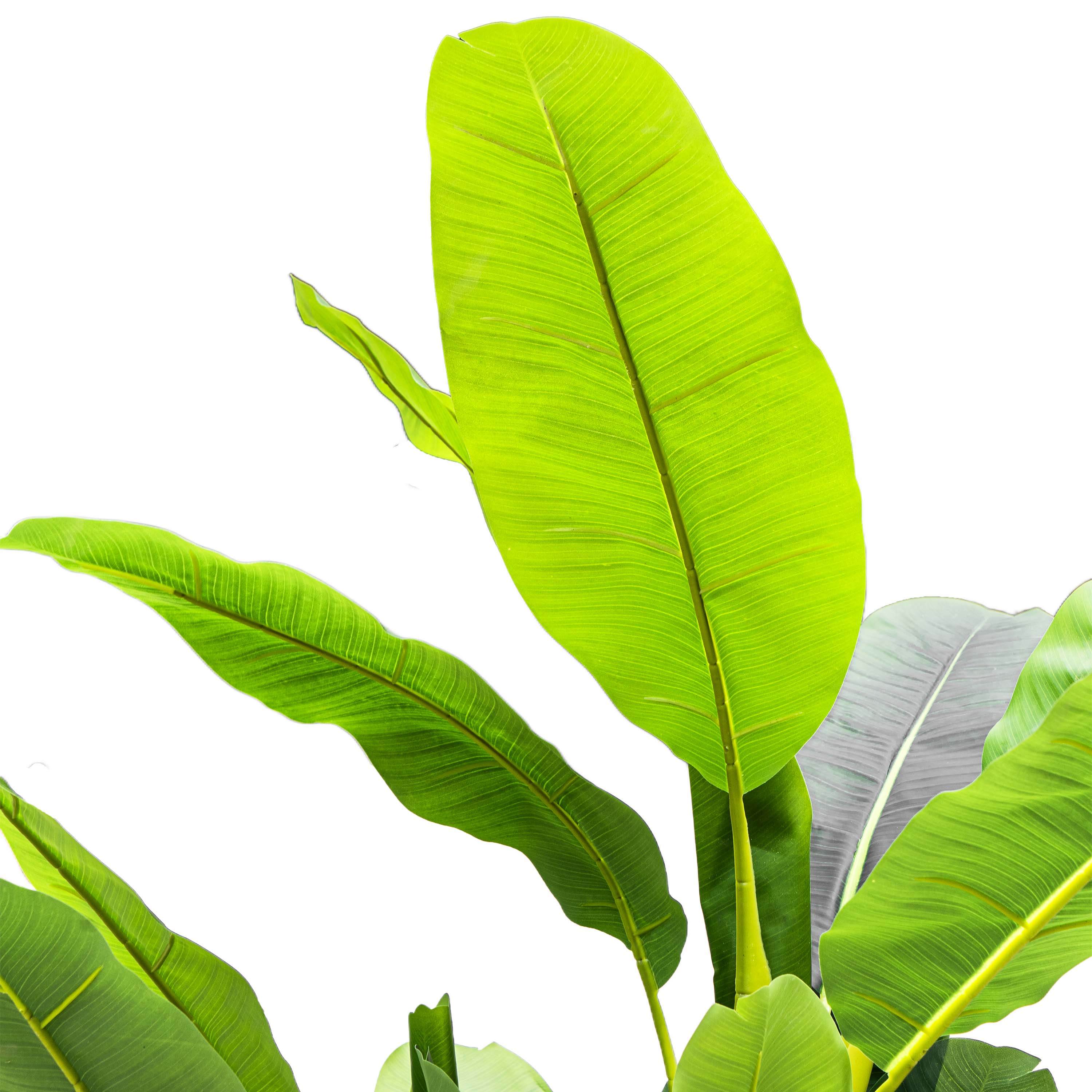 Faux Dark Green Veined Plantain Tree - 6ft (Set of 3)